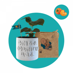 Արքայանարինջ (Մեծ)