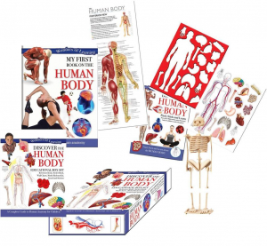 Wonders of Learning Box Set - Discover the Human Body