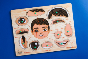 Ճանաչում ենք աշխարհը - Դեմքի մասեր