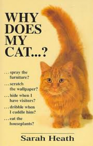 Why Does My Cat...?
