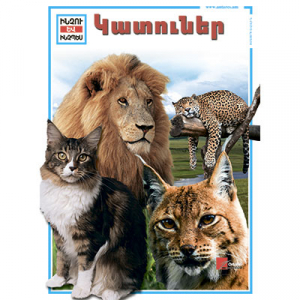 Կատուներ