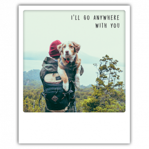 Открытка - I Will Go Anywhere With You