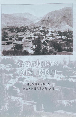 Goghtan district