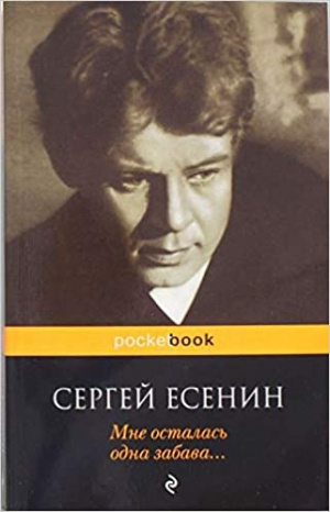 Мне осталась одна забава...