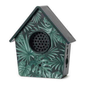 Motion-Activated Birdsong Box - The Sound Of Nature