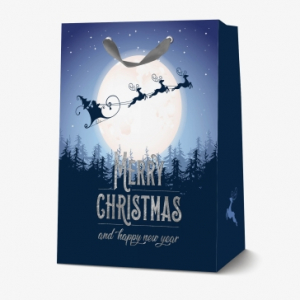 Christmas Gift Bag - Large - Sleigh