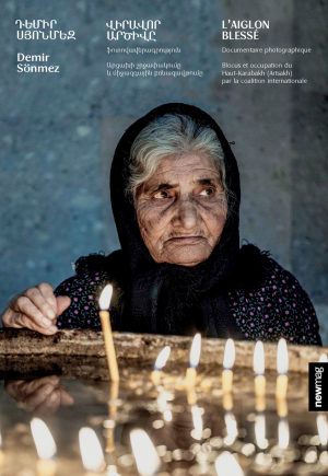 Վիրավոր արծիվը