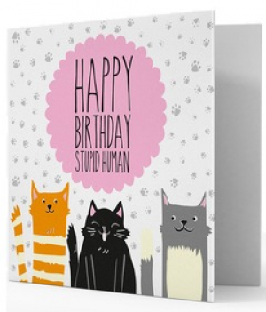 Բացիկ - Greeting Cards - 7X7 Cats