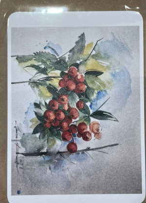 Բացիկ ծրարով Hoosher L. Danielyan 