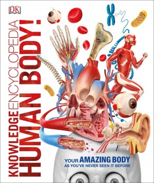 Knowledge Encyclopedia: Human Body