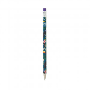 Recycled Paper Pencil I Used To Be A Newspaper - Toucans