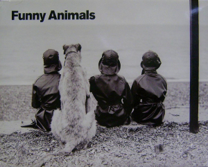 Posters: Funny Animals