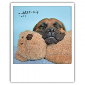 Открытка - unbearably cute