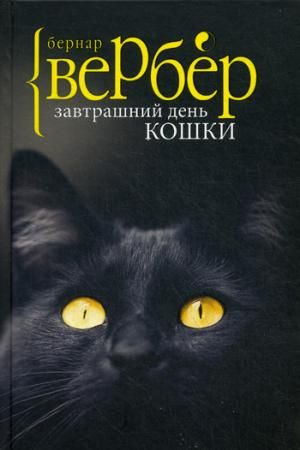 Заброшенный день кошки