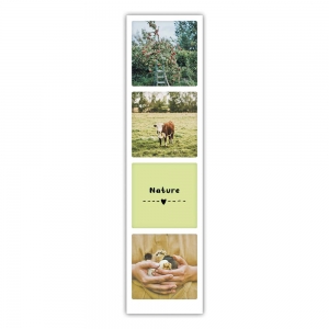 Էջանիշ - nature