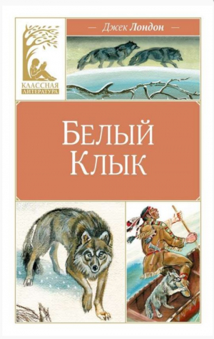 Белый клык