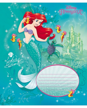 Copybook 12 pages squared - Принцессы