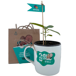 Մարակույա (փոքր)