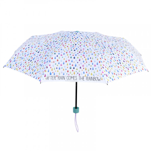 Folding Umbrella - After Rain