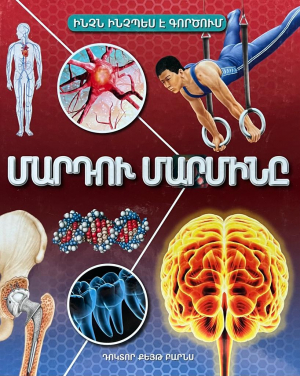 Մարդու մարմինը