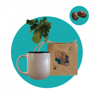 Գուավա (փոքր)