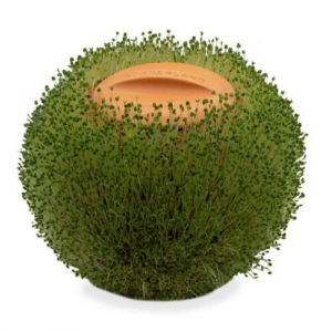 Green Orb Terracotta Planter