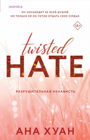Разрушительная ненависть (Twisted Hate #3)