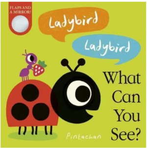 Ladybird! Ladybird! What Can You See?