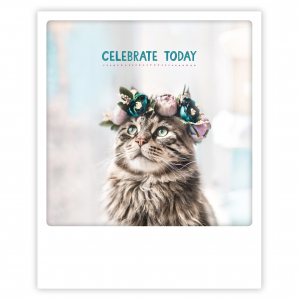 Greeting Card - celebrate today