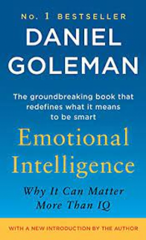Emotional Intelligence․ Why It Can Matter More Than IQ