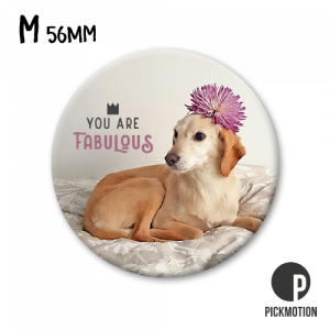 Магнит - You Are Fabulous