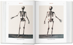 Atlas of Human Anatomy and Surgery