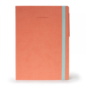 Նոթատետր - Large Plain Salmon