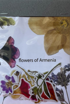 Սթիքերներ
