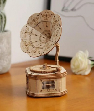 3D Wooden Puzzle - Gramophone