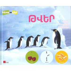 Թվեր։ Նկարագիր