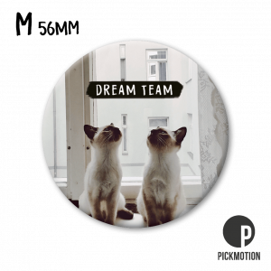 Magnet - Dream Team