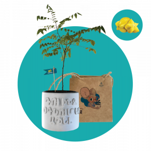 Կարամբոլա (մեծ)