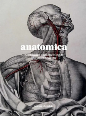 Anatomica