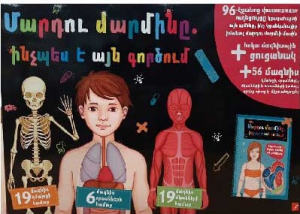 Մարդու մարմինը. ինչպես է այն գործում