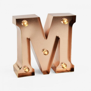 Mini Decorative Light - Gold Rose - M