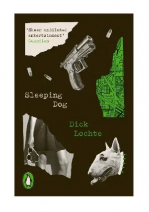Sleeping Dog