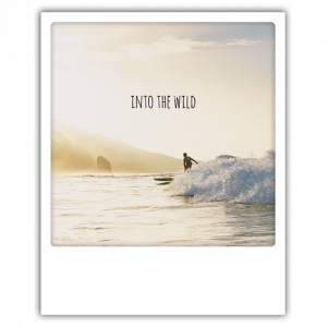 Greeting Card - Into the Wild