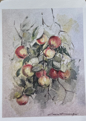 Բացիկ ծրարով Hoosher L. Danielyan 