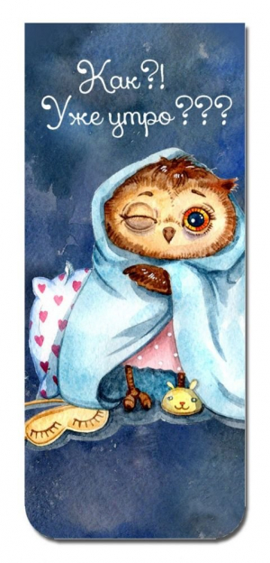 Մագնիսով էջանիշ Сова. Хороший день