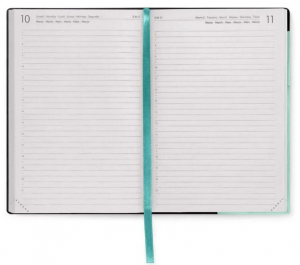 12-Month Daily Diary - Large - 2025-MILK & MINT