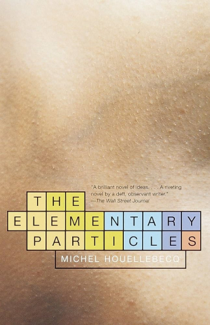 Elementary Particles, The