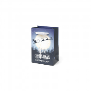 Christmas Gift Bag - Small - Sleigh
