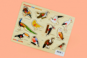 Ճանաչում ենք աշխարհը - Թռչուններ (սիրամարգով)