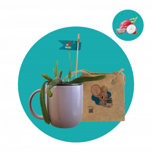 Պիտայա (փոքր)